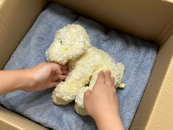段ボール箱の中の青いタオルの上に置かれた黄色いぬいぐるみ子犬に触れる子どもの手