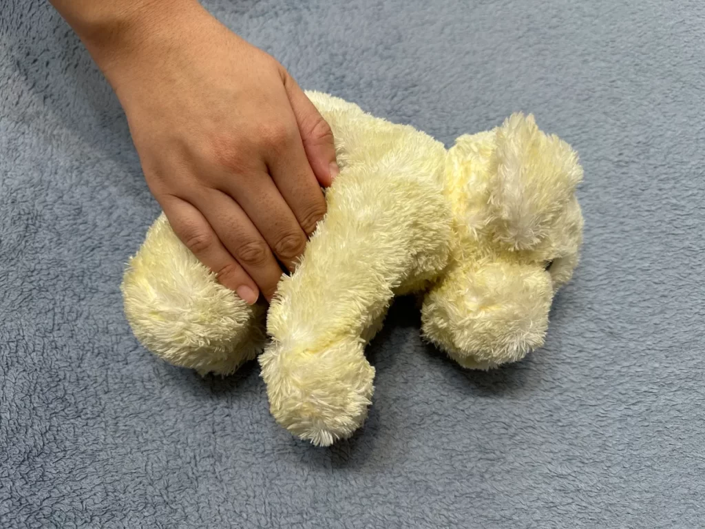 クリーム色のぬいぐるみ子犬をなでている大人の手