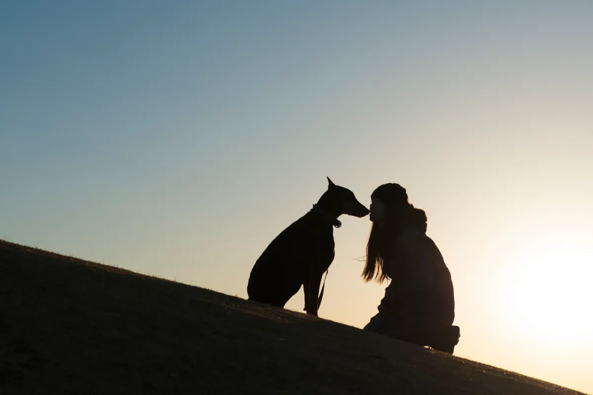 夕暮れの斜面で女性と犬が向かい合うシルエット